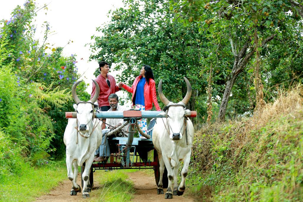 The Pear County Villa Kodaikanal Ngoại thất bức ảnh
