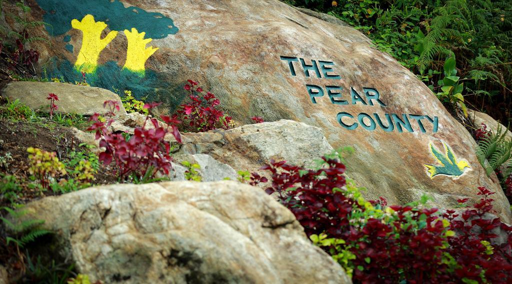 The Pear County Villa Kodaikanal Ngoại thất bức ảnh