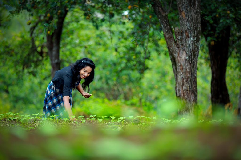 The Pear County Villa Kodaikanal Ngoại thất bức ảnh